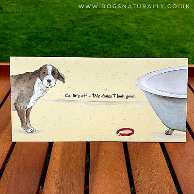 Bathtime Fun Dog Greetings Card
